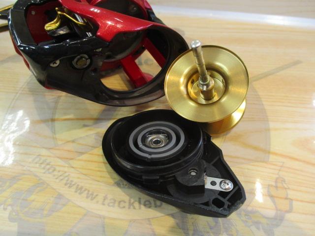 タトゥーラCTタイプR100HS