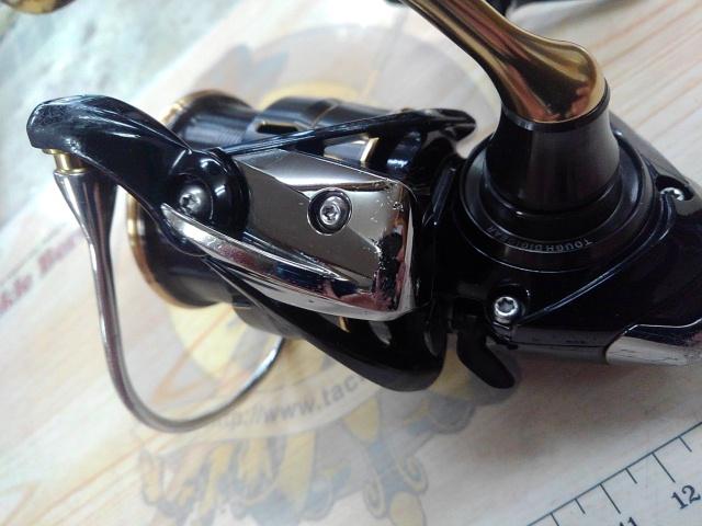 Amazon.com : Daiwa LT2500SS-CXH 19 Ballistic Spinning Reel