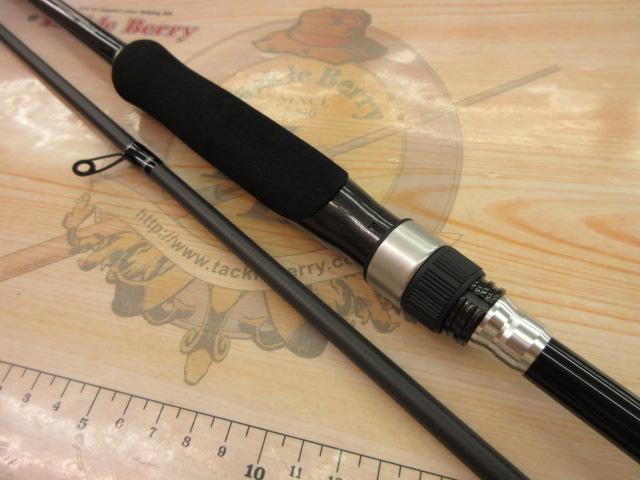 19ソルティーアドバンスエギング 86M