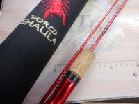 19ワールドシャウラ テクニカルエディション S62UL-2/F