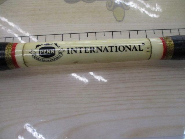 インターナショナルツナスティック