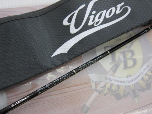 ヴィガー DVSLJ-C603M