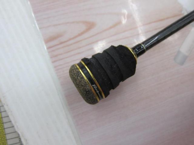 ヴィガー DVSLJ-C603M