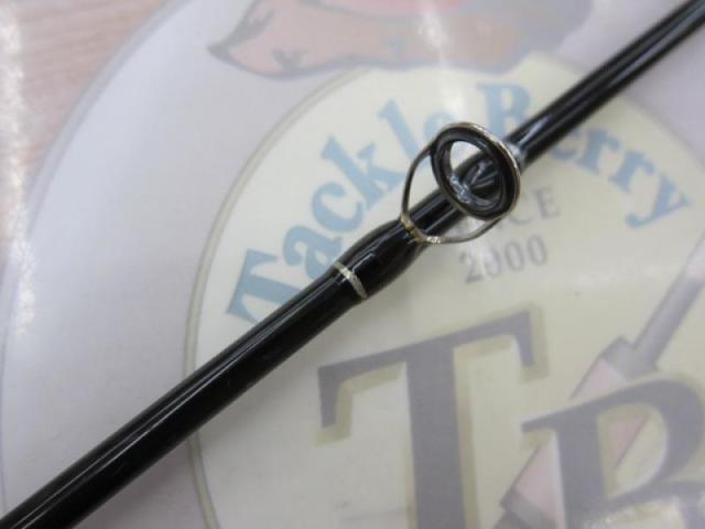 ヴィガー DVSLJ-C603M