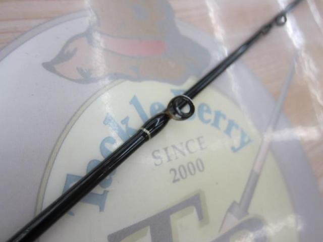 ヴィガー DVSLJ-C603M