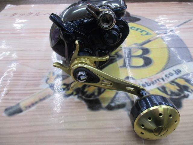 13ビーストマスター 3000