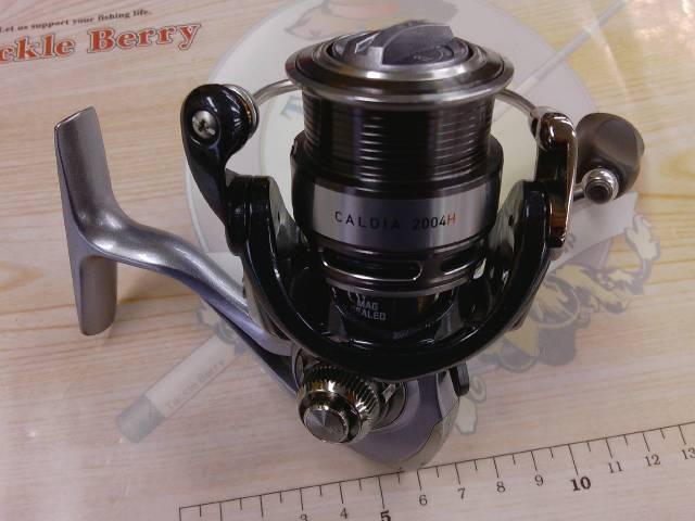 14カルディア 2004H