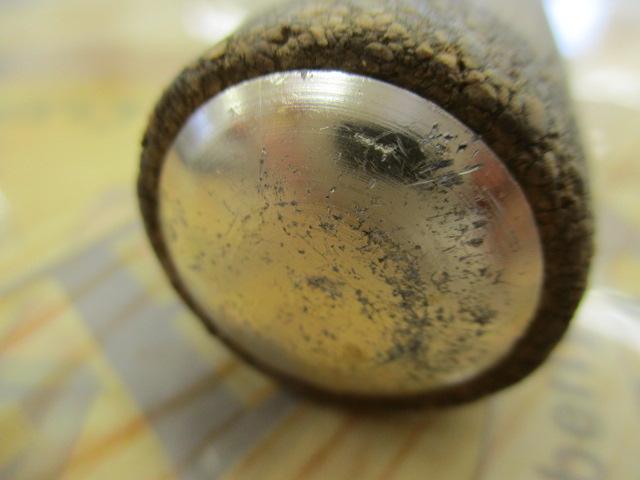 ワイルドスティック雷魚76