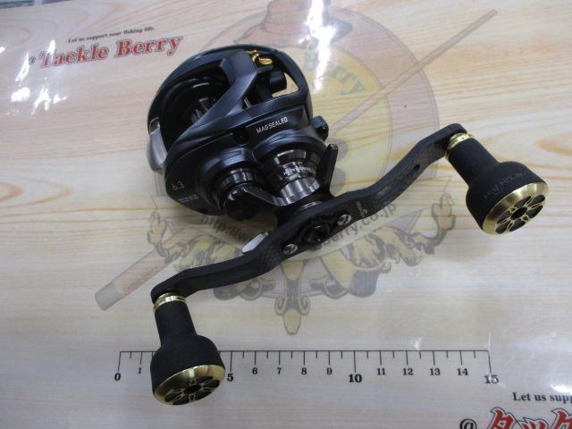 スティーズ AⅡ TW 1000