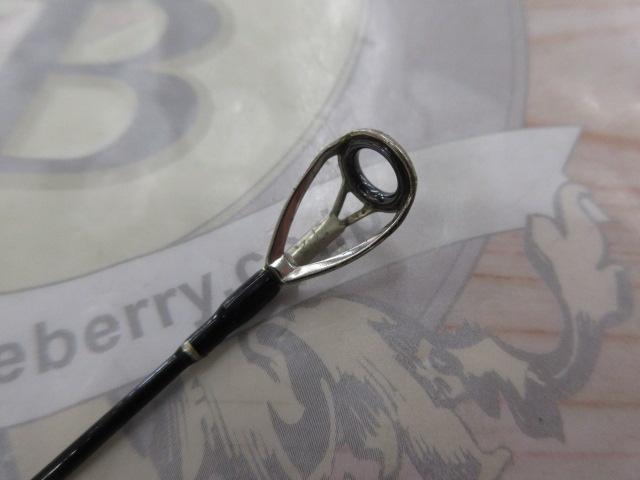 アーリープラス 100M