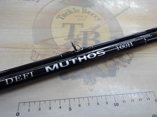 デフィーミュートス DM100H (Kガイドモデル)