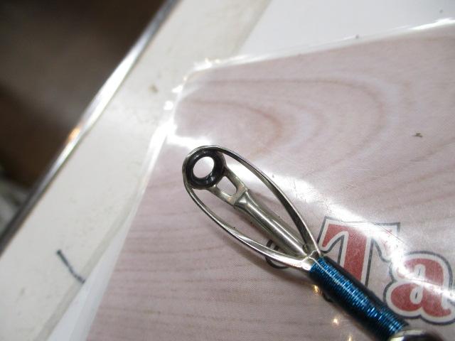 ガウラヤリイカ 195