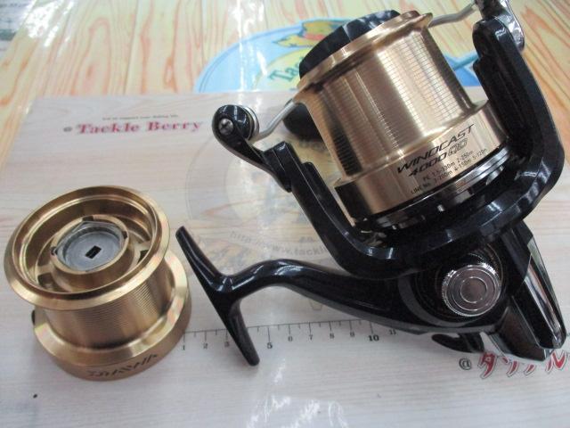 ダイワ(Daiwa) 17ウインドキャスト 4000QD 00059654｜アウトドア