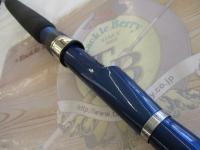 シーウイング73 80-300T3