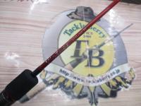 バーチューズ591/a300Z2