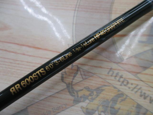 ロードランナーNシステム 600STS スーパーテクニカル