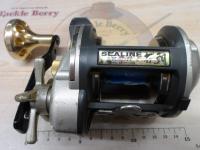 シーライン石鯛X 40H