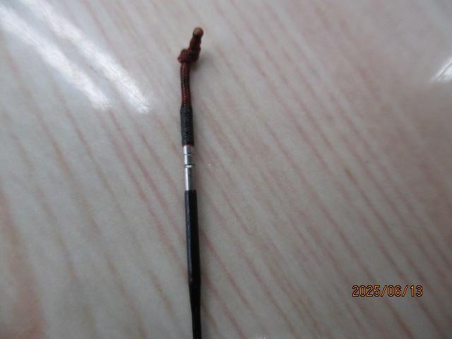 旋めぐる駿風12