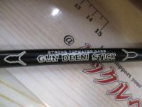 ガンディーニスティック