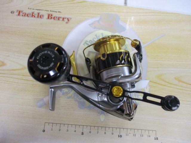 16BB-Xデスピナ C3000DTG