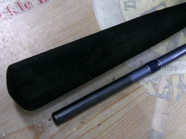 リーディングエッジパラボライト201