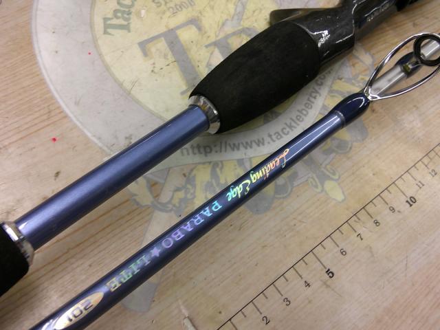 リーディングエッジパラボライト201