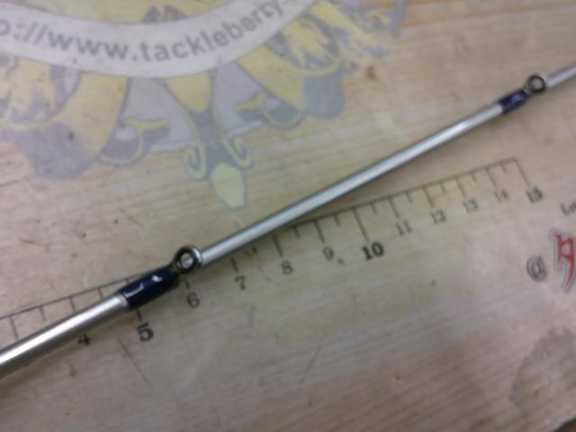 リーディングエッジパラボライト201