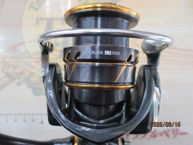 ダイワ カルディア 21 LT 3000 DAIWA（釣り） ダイワ 21カルディア LT3000-CXH スピニング