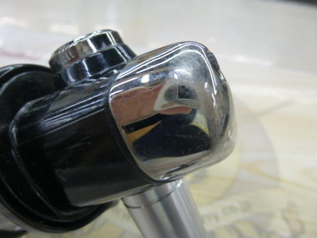 ソルティスト月下美人 2004