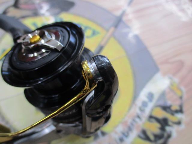 16BB-Xデスピナ 2500DHG