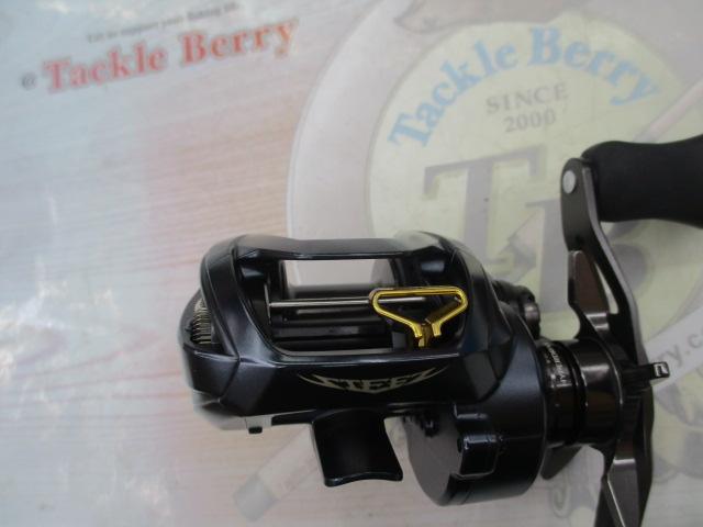 DAIWA（釣り） ダイワ 23 スティーズ A II TW 1000XHL 左