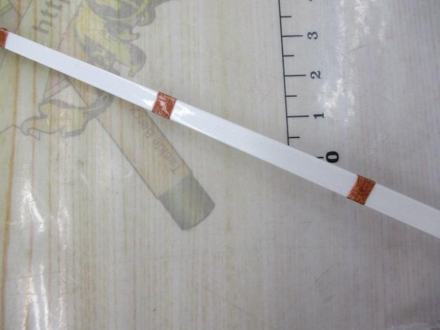 クリスティア ワカサギ 先調子26SS