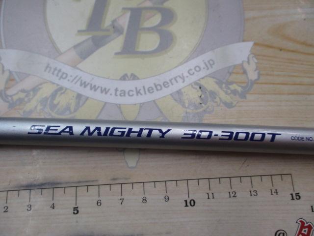 NF AD IGSシーマイティー 30-300T