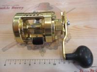 04カルカッタコンクエスト 1000F