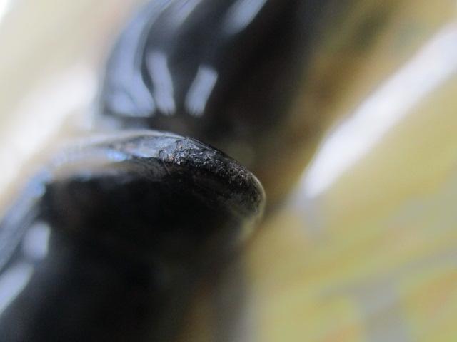 タクティクス TCSC-69HD