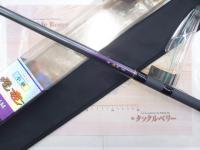 小継飛竜 1-36M