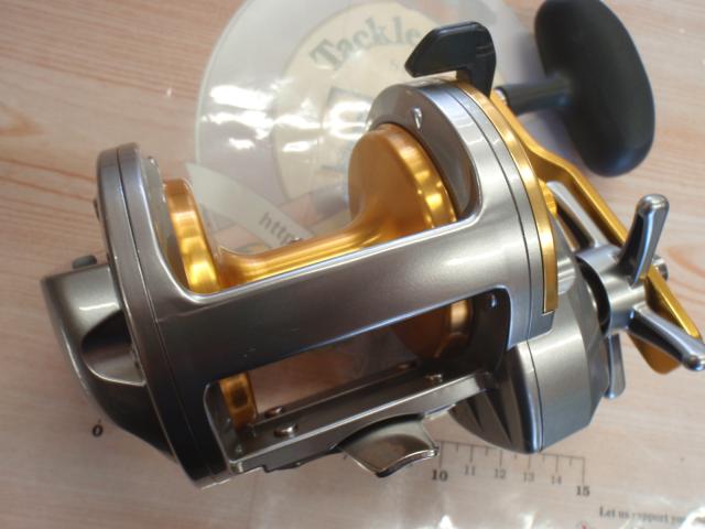 シーライン石鯛　４０ Amazon | ダイワ(Daiwa) チヌ リール(タイコリール) NEW シー