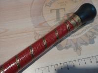 ムゲンシマアジ80-210 