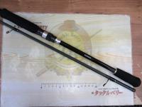 19ソルティーアドバンスエギング 86M