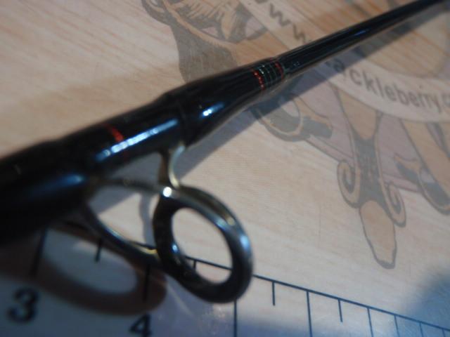 キャタリナ ナブラ 67