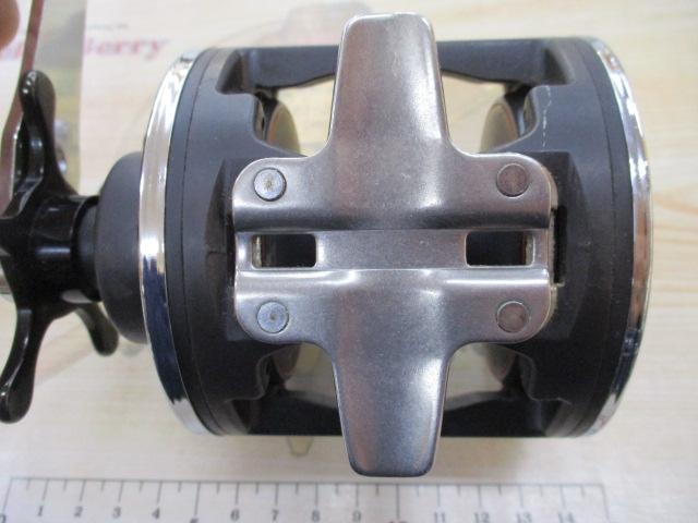 シーライン 300H