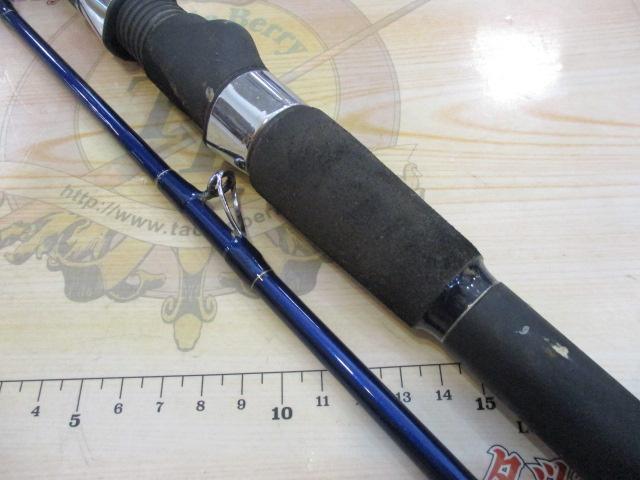 リーディング-XL ヤリイカ 195｜＠ベリーネット 日本最大新品