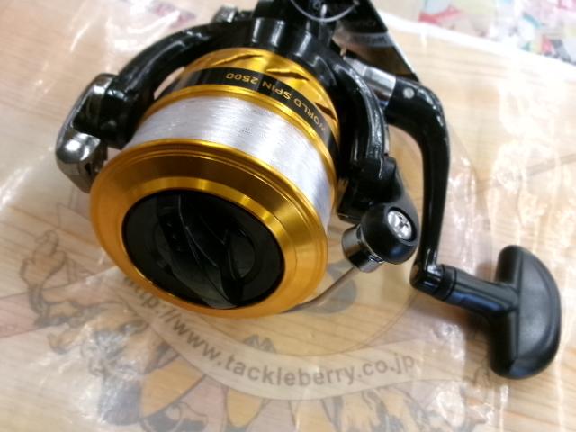 17ワールドスピン 2500