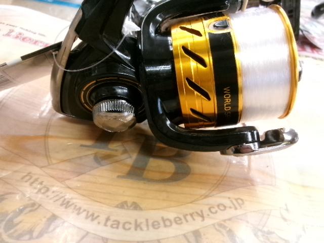 17ワールドスピン 2500