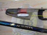 21アオリスタ 500