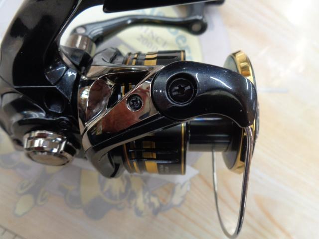 23BB-Xデスピナ C3000D TYPE-G｜＠ベリーネット 日本最大新品