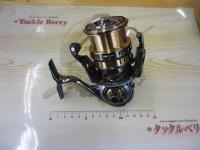 SLPWイグジストセミオーダーカスタムLT4000-CXH