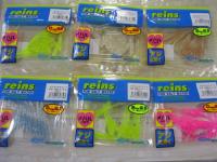 特価チビキャロスワンプ