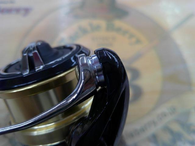 18カーディフCI4+ 1000SHG