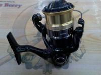 18カーディフCI4+ 1000SHG